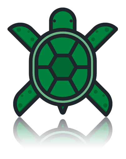 Slow Turtle